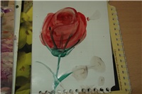 ce80376f-Picture 025.jpg